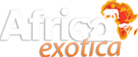 Africa Exotica